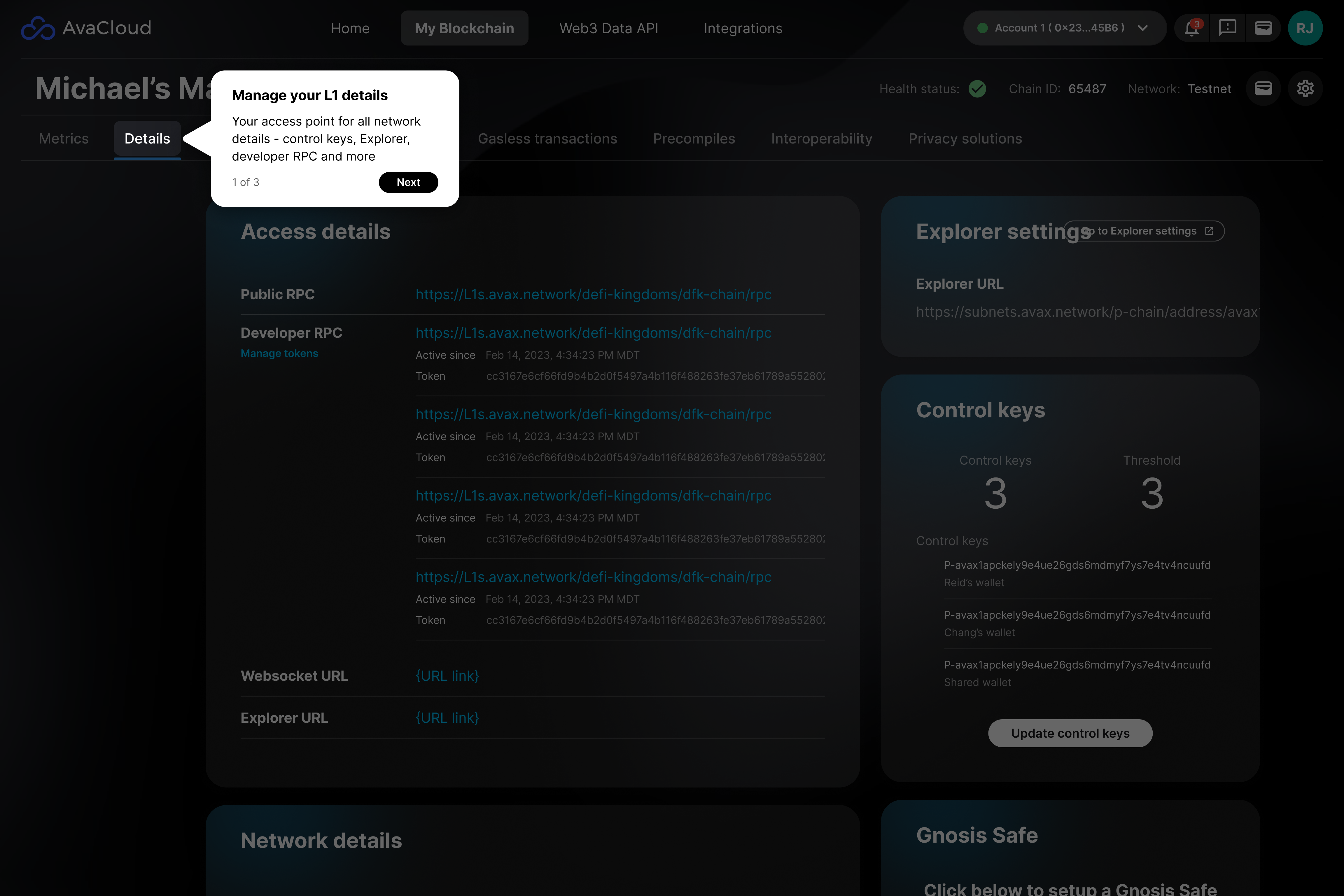Tour step 1: Manage your L1 details — access points, control keys, and explorer settings