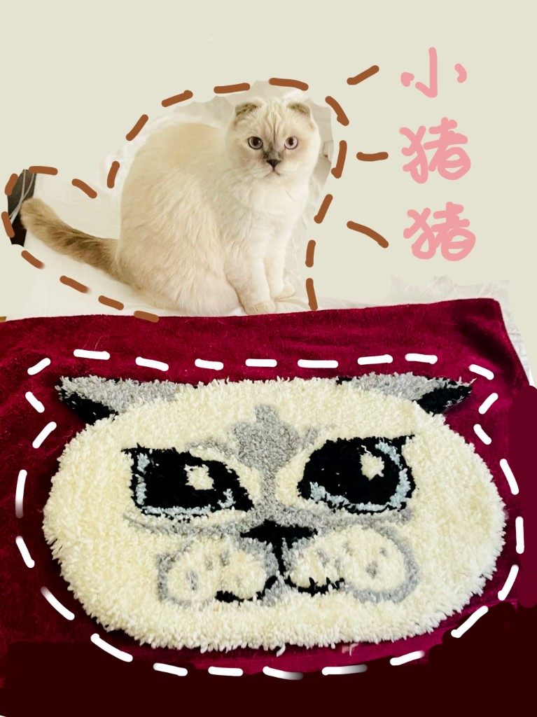 Handmade cat rugs